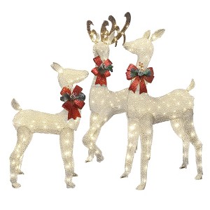 Hooseng 3 Pieces Reindeer Family Set, Christmas Lighted Deer 3, 4, 5ft, Xmas Decoration Set with 230 LED Lights, 12 Ground Stakes and 30 Zip Ties - 1 of 4
