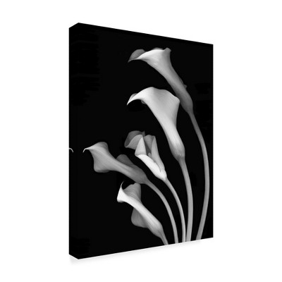Trademark Fine Art -Susan S. Barmon 'Calla Lilies 3 Black And White' Canvas Art