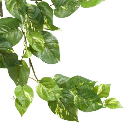 Verdant Heart-Shaped Variegated Pothos Hanging Bush Trio