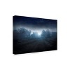 Trademark Fine Art Christian Lindsten  Visions of the night Canvas Wall Art - 4 of 4