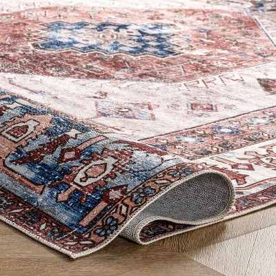 Eliza Multi-Color Traditional Medallion Washable Area Rug