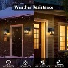 C Cattleya 9.75in Matte Black Dusk to Dawn Outdoor Wall Lantern Sconce with Built-in GFCI Outlet - 4 of 4