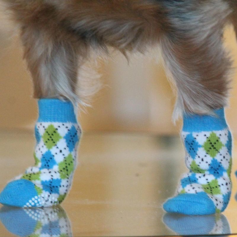 Doggie Design Non-Skid Dog Socks - Blue and Green Argyle, 4 of 6
