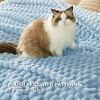 Bedsure Blanket for Bed - Super Soft, Cozy Blankets for Women, Cute Fleece - 4 of 4