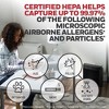 Honeywell Insight HEPA Air Purifier HPA5200B: Quiet Operation, 4 Settings, 300-500 sq. ft., CARB & Energy Star Certified - 4 of 4