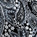 navy paisley