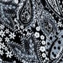 navy paisley