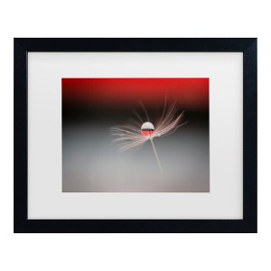 Trademark Fine Art - Maryam Zahirimehr Half A World Matted Framed Art - 1 of 4
