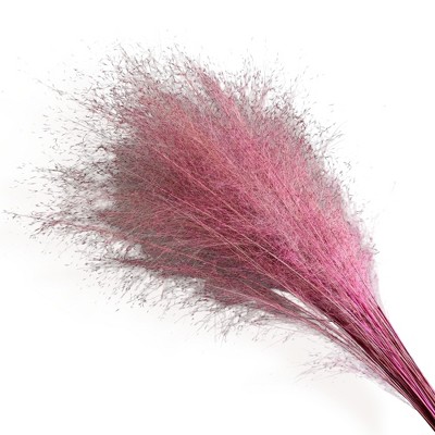 Alilang Decorative Dried Wispy Grass Stems for Home Decoration and Floral Arrangements, 17 Inches