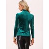 Allegra K Women's Solid Turtleneck Velvet Long Sleeve Work Basic Velour Blouse - 4 of 4