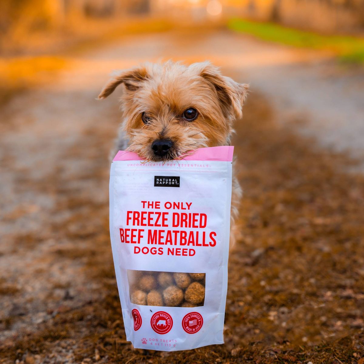 Natural Rapport The Only Freeze Dried Meatballs Dog Treats - 4oz - thumbnail 5