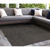 Liora Manne Carmel  Indoor/Outdoor Rug  Black.. - 3 of 4