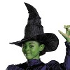Toddler Deluxe Wicked™ Elphaba Purple Dress Costume - 3T-4T - 4 of 4