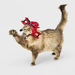 Halloween Biplane Cat Hat - Hyde and EEK! Boutique™ - 1 of 4