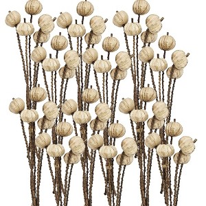 Whisen Set of 12, 23.5" 5Pcs/Bunch Pumpkin Pod Twig Stem - Brown & Ivory - 1 of 4
