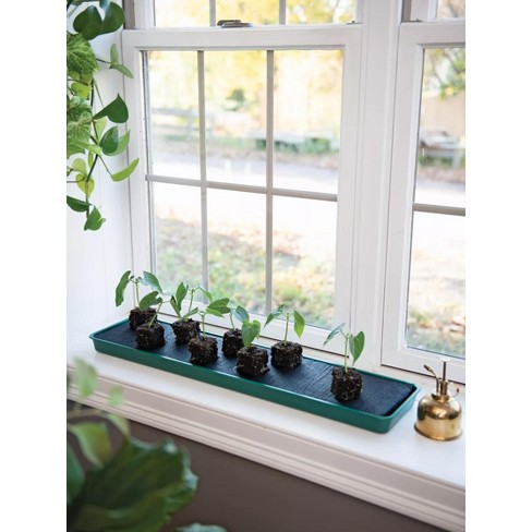 Self-Watering Windowsill Tray, Green