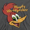 Boys’ Woody Woodpecker Retro Logo Hooded Sweatshirt - 2 of 4