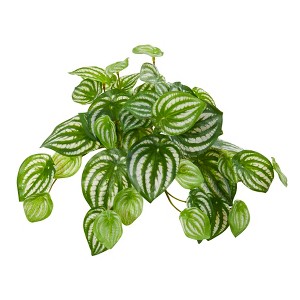 Nearly Natural 11-in Watermelon Peperomia Hanging Artificial Bush Plant (Set of 12) (Real Touch) - 1 of 2