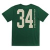 NBA Milwaukee Bucks Kids' Giannis Antetokounmpo Performance T-Shirt - 3 of 3