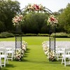 Metal Garden Arch Trellis, for Wedding Arch Frame, Climbing Plants, Decorative Archway, Patio, Backyard, Patio, Lawn, Pathway Decor - 2 of 4
