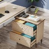 LITTLE TREE 2 Drawer Lateral File Cabinet Beige - 3 of 4