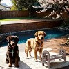 19'' Adjustable Elevated Pet Bowl for Dogs And Cats,Travel Ready Feeder with Recycled Poly Lumber,Durable And Collapsible–LAOTIES - 3 of 4