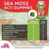 Flamingo Supplements Sea Moss Gummies with Apple Cider Vinegar – 70 Ct - 2 of 3