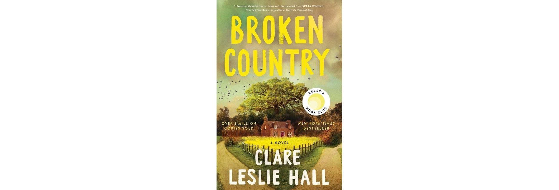 Broken Country - by Clare Leslie Hall (Hardcover)