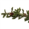 Pine Garland 5'L - 3 of 3
