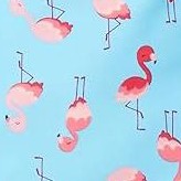 turq flamingo