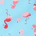 turq flamingo