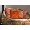 Liora Manne Visions III Casual Indoor/Outdoor Pillow.. - 4 of 4