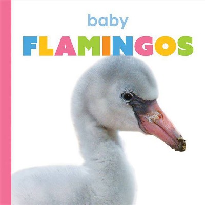 Baby Flamingos - (Starting Out) by  Kate Riggs (Paperback)