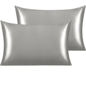 2 Pack Satin Pillowcases for Hair and Skin, Luxurious and Silky Pillow Cases with Envelope Closure - NTBAY - 1 of 4