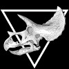 Men's Design By Humans triceratops skull By JuanMedina T-Shirt - 2 of 4