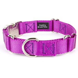Country Brook Petz Heavyduty Nylon Martingale with Premium Buckle - 1 of 4