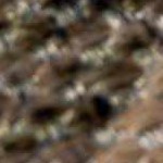 gray, dark brown, off white, dark purple