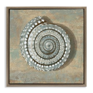 Stupell Industries Spiral Shell Beach Objects Design, 25" x 25" - 1 of 4