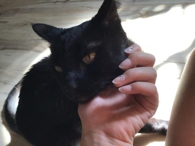 Guest review image 1 of 3, zoom in