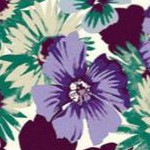 soft iris floral