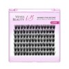 VEYESBEAUTY Lash Clusters Individual Eyelash Extensions DIY False Eyelashes Wispy Lash Tray, Dreamy 10-16mm Single Length - 2 of 4