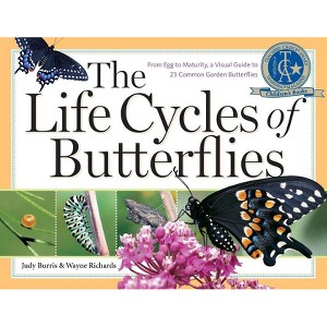 The Life Cycles of Butterflies - by  Judy Burris & Wayne Richards (Paperback) - 1 of 1