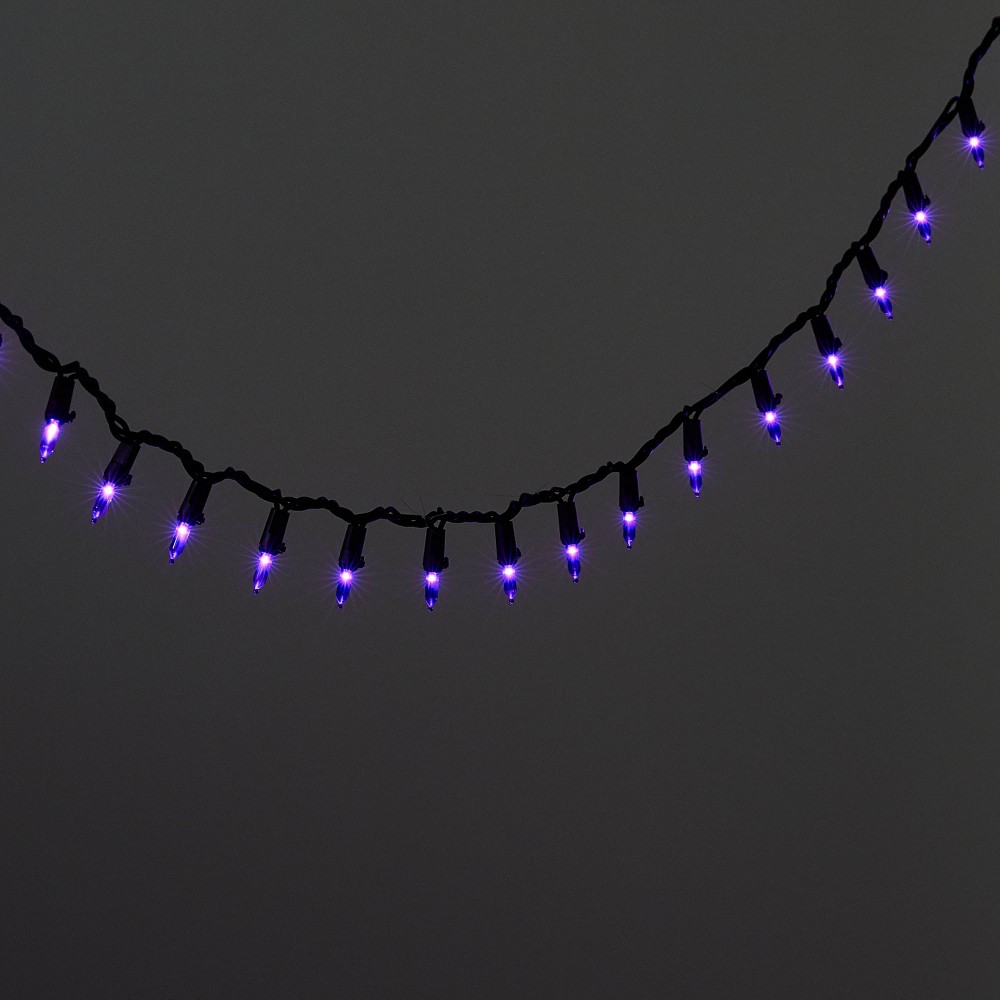 Photos - Floodlight / Street Light 100ct LED Smooth Halloween Mini String Lights Purple - Hyde & EEK! Boutiqu