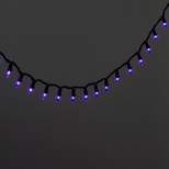 100ct LED Smooth Halloween Mini String Lights Purple - Hyde & EEK! Boutique™