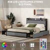 LED Bed Frame Queen,Metal Bed Frame Queen,Queen Size Bed Frame With Headboard And Storage,Bed Frame With Charging Ports-Cuddlewood - 3 of 4