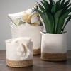 Sullivans Set Of 3 Basket Water Hyacinth Baskets 18.5"H, 14.5"H & 12.5"H Off-White - 3 of 4