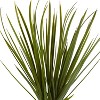 HomeStock  3 ft. Artificial Yucca Tree in Pot for Indoor/Outdoor - 2 of 3