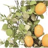 Transpac Foam 24" Yellow Spring Leaf and Lemon Wreath with Bow - 2 of 4