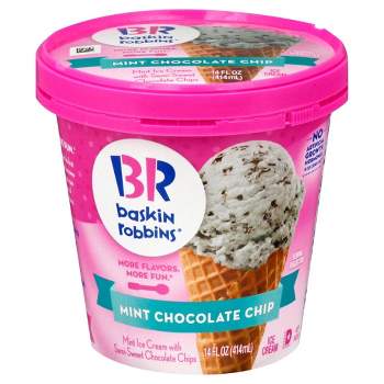 Baskin Robbins Mint Chocolate Chip Ice Cream - 14oz
