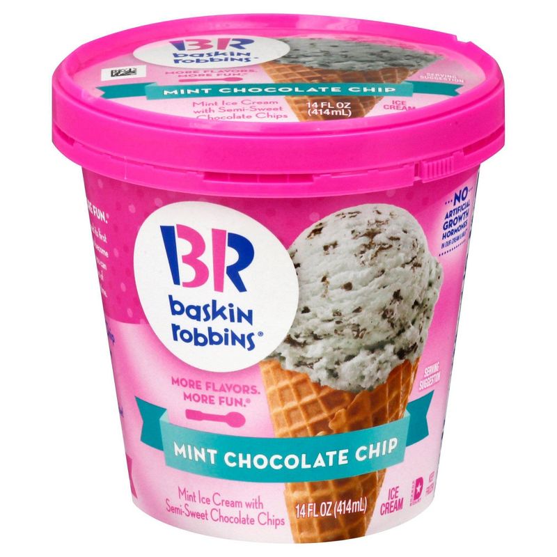Baskin Robbins Mint Chocolate Chip Ice Cream - 14oz, 1 of 7